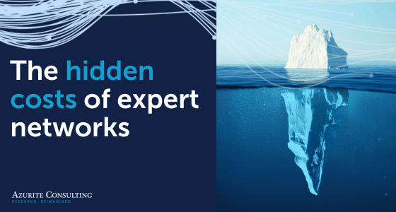 The Hidden Costs of Expert Networks